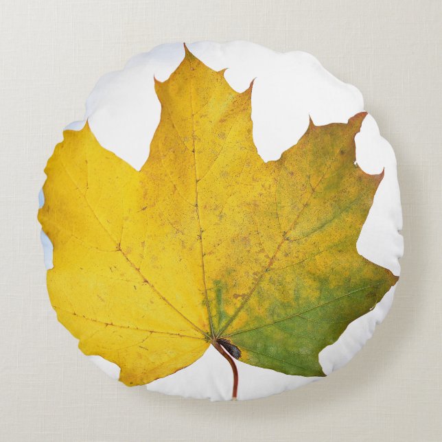 Almohada para cada habitación (Anverso)