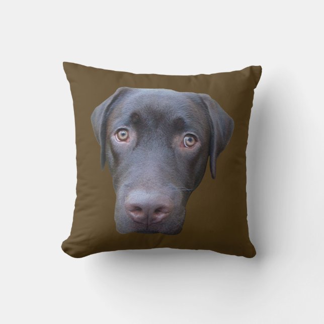 Almohada perro labrador Jimmy (Anverso)