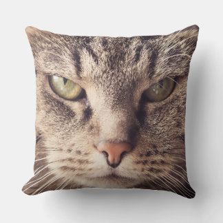 almohada personalizada gato mascota