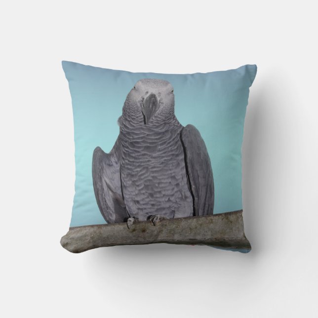 Almohada Polly (Mezcla Azul Celeste) (Anverso)