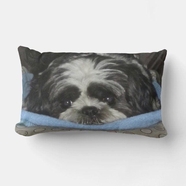 Almohada porcina humilde de Shih Tzu (Anverso)