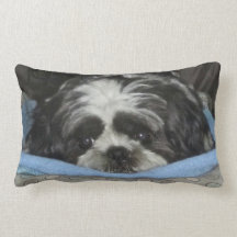 Almohada porcina humilde de Shih Tzu