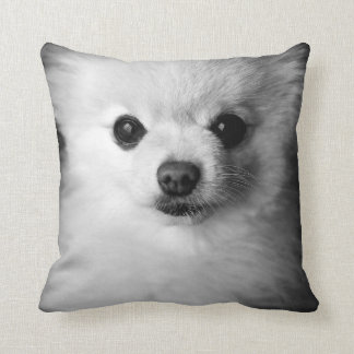Almohada preciosa de Pomeranian