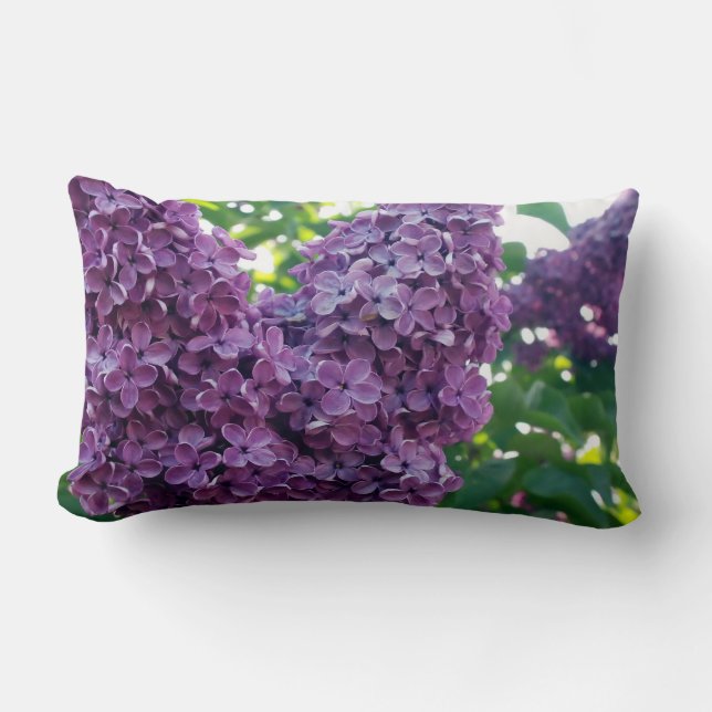 Almohada púrpura de las lilas (Anverso)