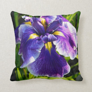 Almohada púrpura soleada del iris