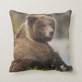 Almohada que se sienta de Alaska del oso de Brown