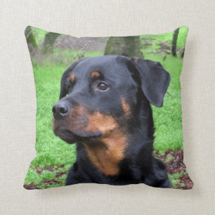 Almohada que soña despierto de Rottweiler