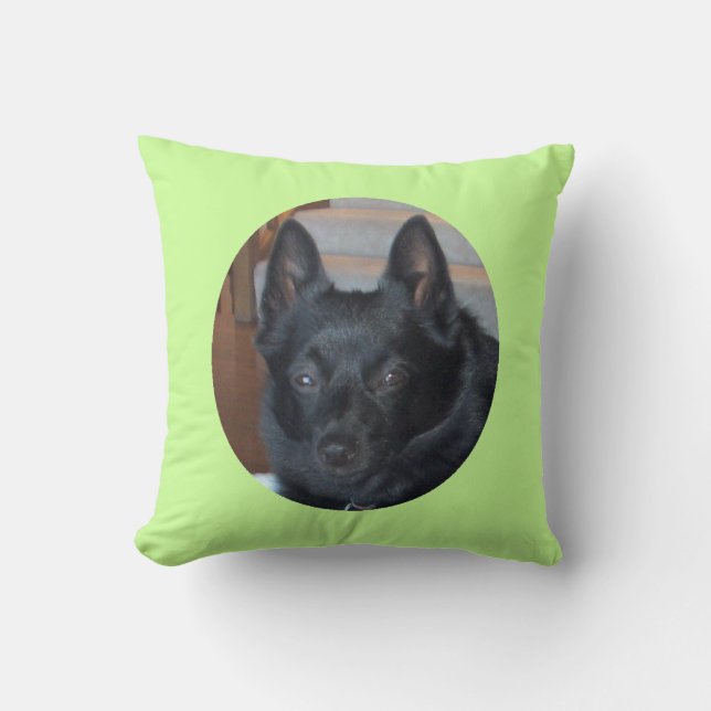 Almohada querida del mascota (Anverso)