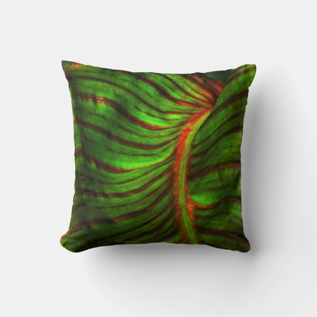 Almohada rayada del acento de la hoja de Canna (Anverso)