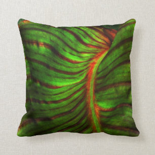Almohada rayada del acento de la hoja de Canna