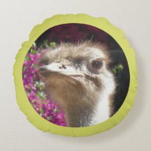 Almohada redonda de avestruz de Sudáfrica