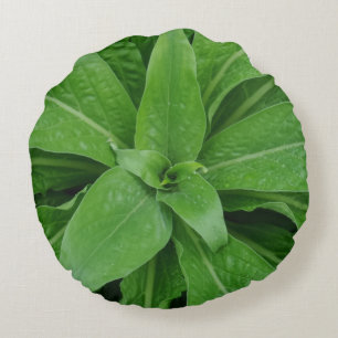 Almohada redonda de la planta verde