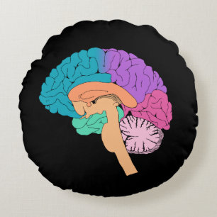 Almohada Redonda de Medio Cerebro Científico