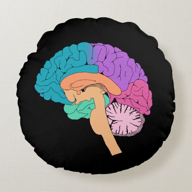 Almohada Redonda de Medio Cerebro Científico (Anverso)