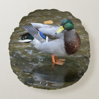 Almohada redonda de pato mallorquín masculino
