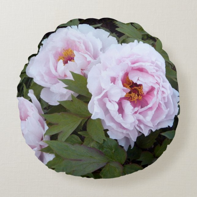 Almohada redonda del Peony bonito (Anverso)