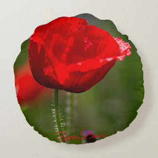 Almohada Redonda Minimalista Moderna – Decoración