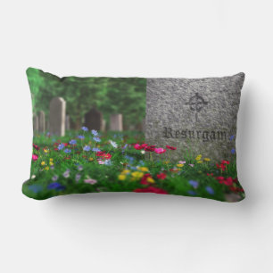 Almohada Resurgam