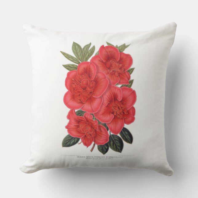 almohada roja Azalea indica (Anverso)