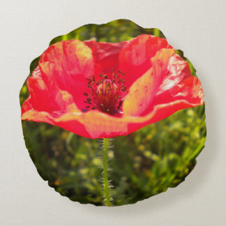 Almohada roja de la amapola de campo