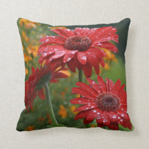 Almohada roja de la margarita del Gerbera