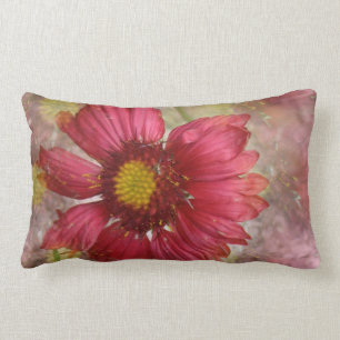 Almohada roja del Gaillardia