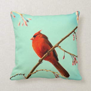 Almohada roja del pájaro