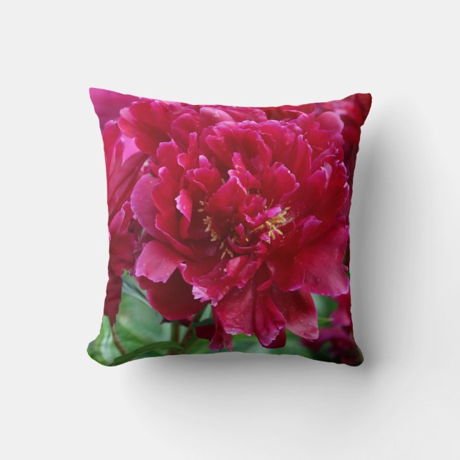 Almohada roja del Peony (Anverso)