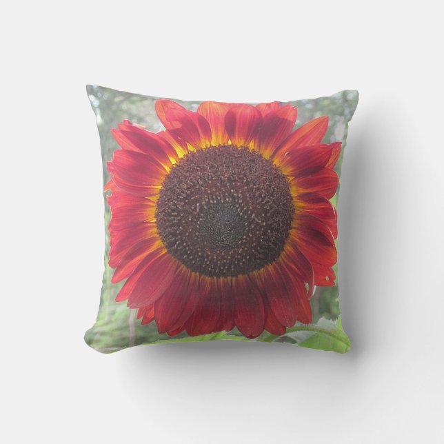 Almohada roja oxidada del girasol (Anverso)