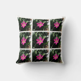Almohada rosa de Costa Rica