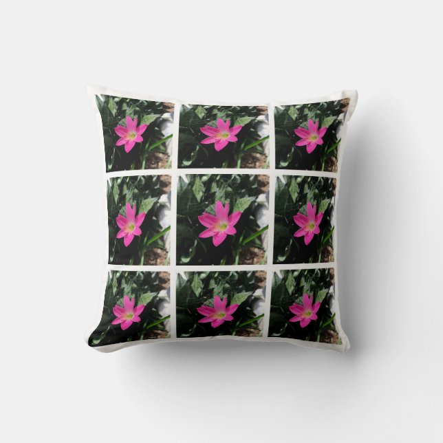 Almohada rosa de Costa Rica (Anverso)