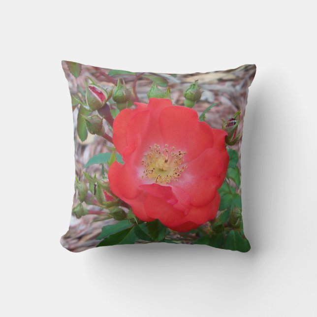 almohada - rosa de moda de color salmón oscuro (Anverso)