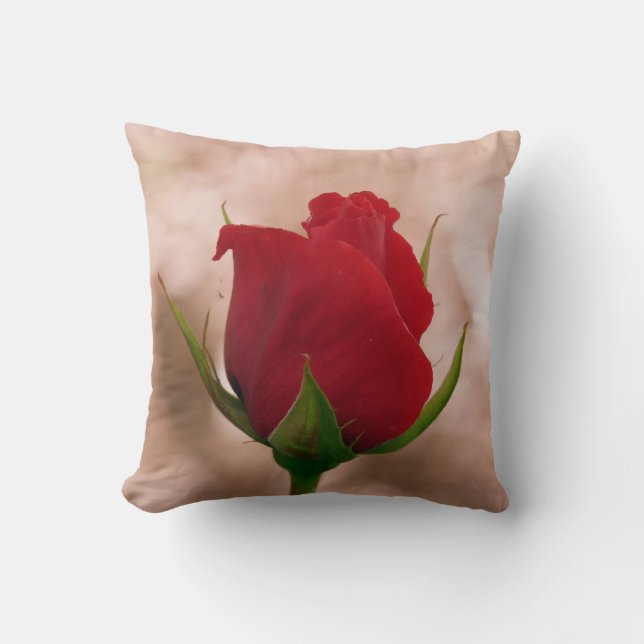 Almohada rosa roja/cojín (Anverso)
