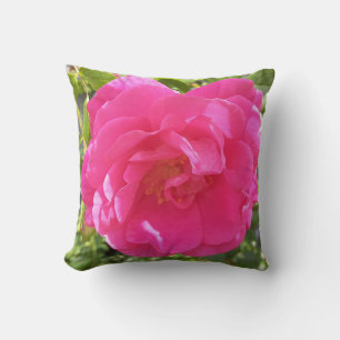 almohada rosa rosa rosa de roca