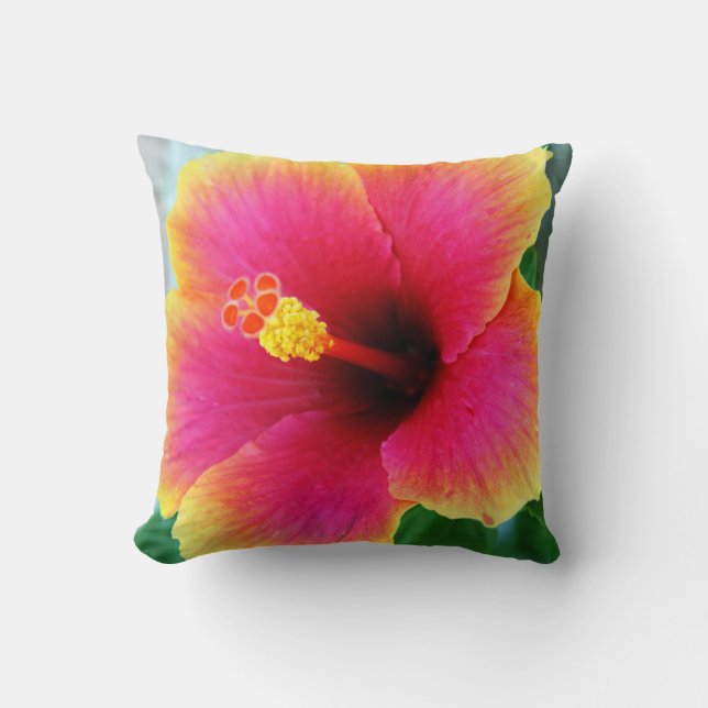 Almohada rosada amarilla del hibisco (Anverso)