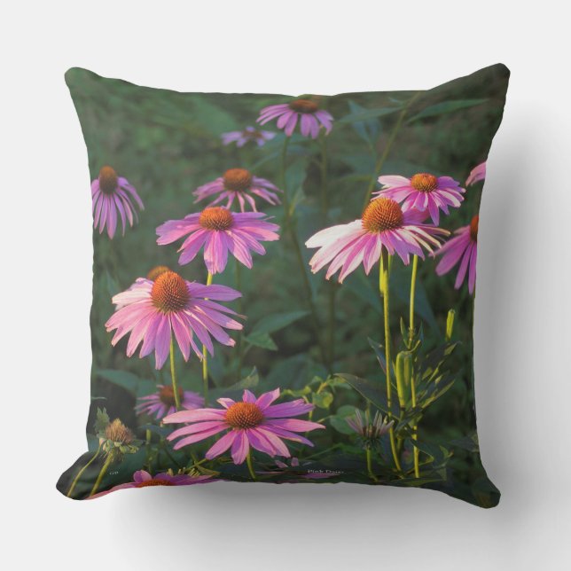 almohada rosada de Daisies (Anverso)