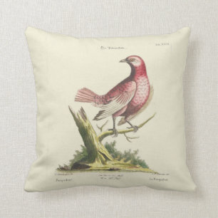 Almohada rosada del pájaro del vintage