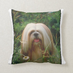 Almohada rubia de Lasa Apso