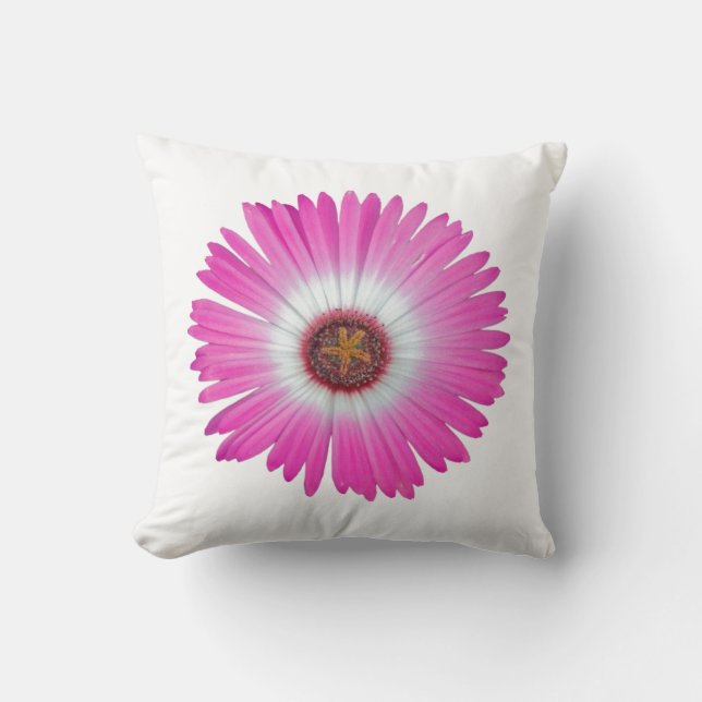 Almohada Shasta Daisy en "rosa caliente" (Anverso)