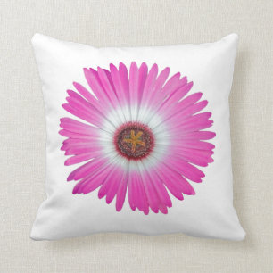 Almohada Shasta Daisy en "rosa caliente"