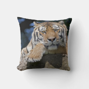 Almohada solo relajante