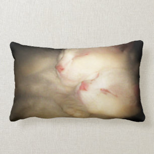 Almohada soñolienta de Kittys