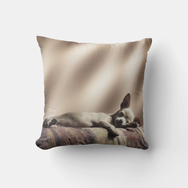 Almohada soñolienta del perrito (Anverso)