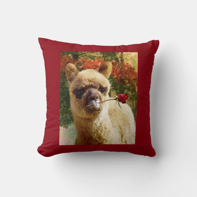Almohada subió alpaca (Anverso)