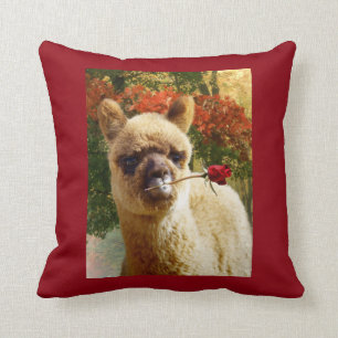 Almohada subió alpaca