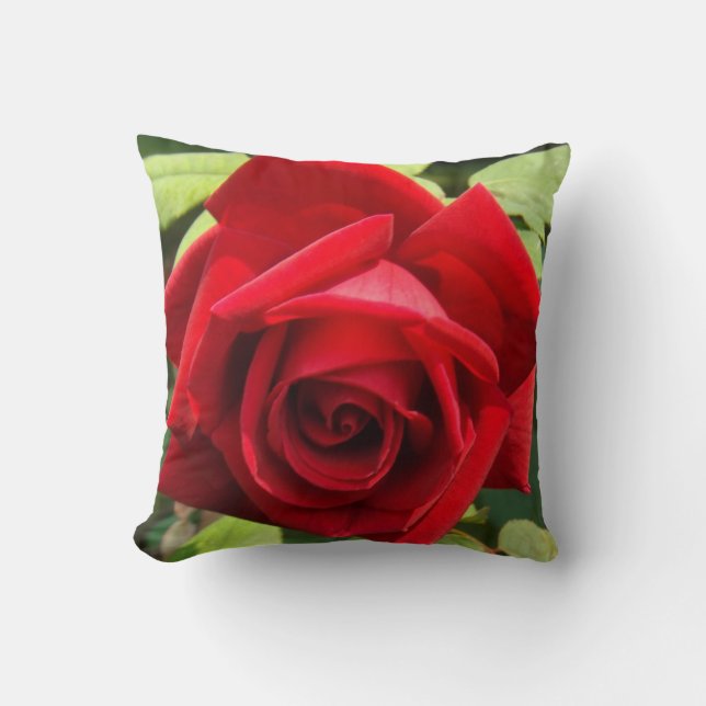 Almohada subió gloria carmesí (Anverso)