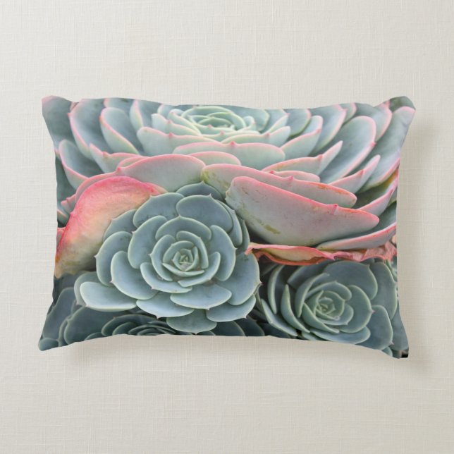 Almohada suculenta al aire libre, Echeverias azul (Reverso)