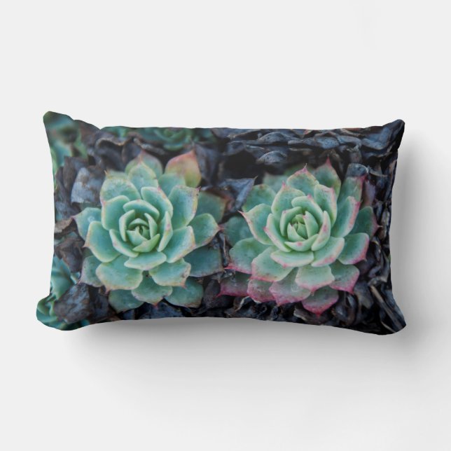 Almohada suculenta del Lumbar de la textura de la (Anverso)