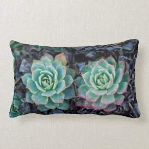 Almohada suculenta del Lumbar de la textura de la