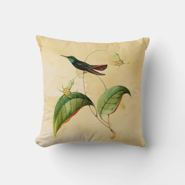 Almohada Throated verde de la acuarela del colibrí (Anverso)